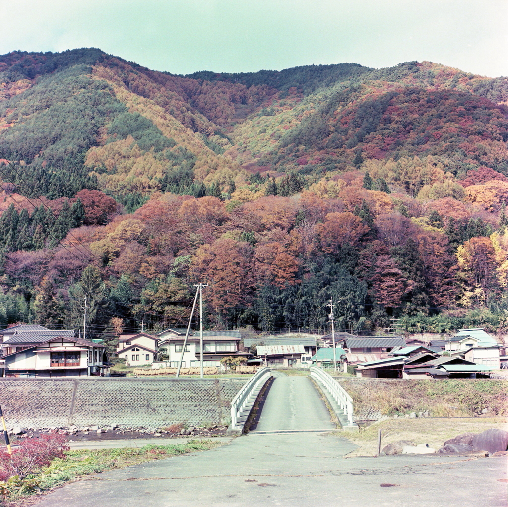 彩りの中で暮らす人々