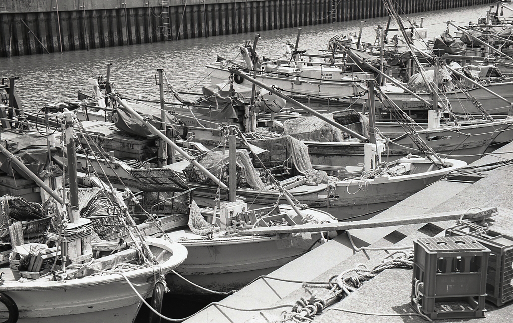 この風景が好き。