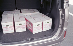 愛大柔道部ＯＢ会からスイカ１６個です。