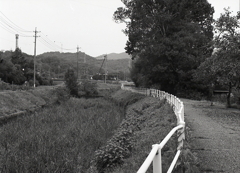 内津川緑道を自転車で…