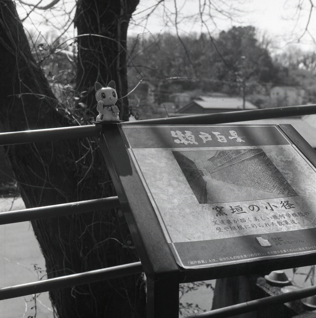 窯垣の小径（かまがきのこみち）　～瀬戸市