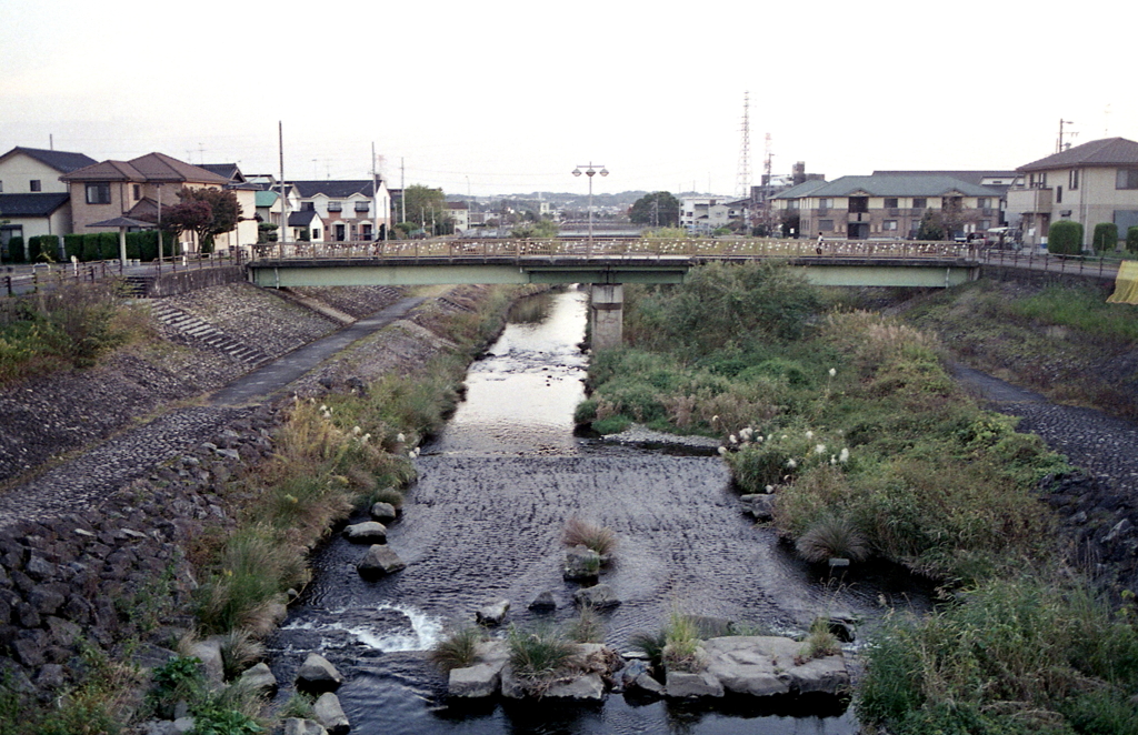 歩道橋の街灯