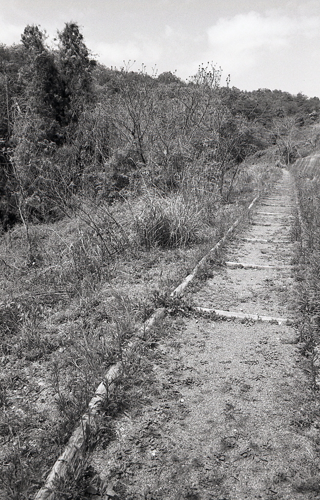 天気も良く気分は最高！