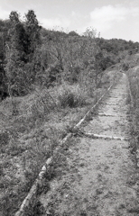 天気も良く気分は最高！