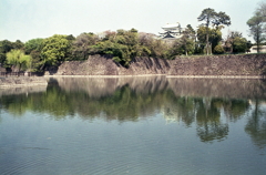 西から望む名古屋城