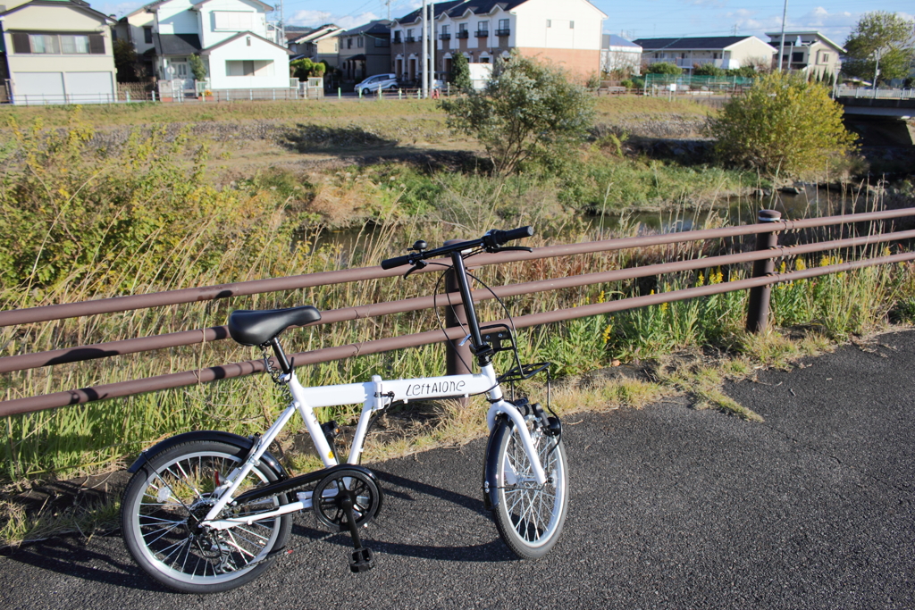 西日に輝くLeft Alone号
