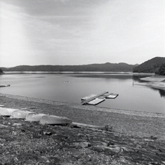 減水の入鹿池風景