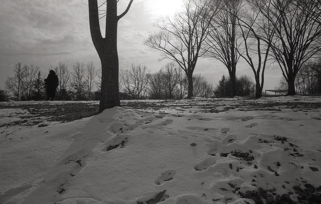 真っ白な雪にアングル下げると…