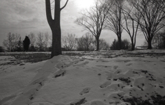 真っ白な雪にアングル下げると…