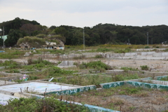 住宅基礎の脇にはお供えの花が…
