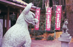 両対のお狐様 両対のお狐様