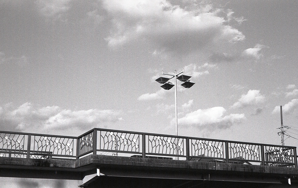 秋空の歩道橋　～マリ散歩で…