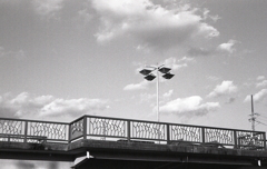 秋空の歩道橋 ~マリ散歩で… 秋空の歩道橋 ~マリ散歩で…