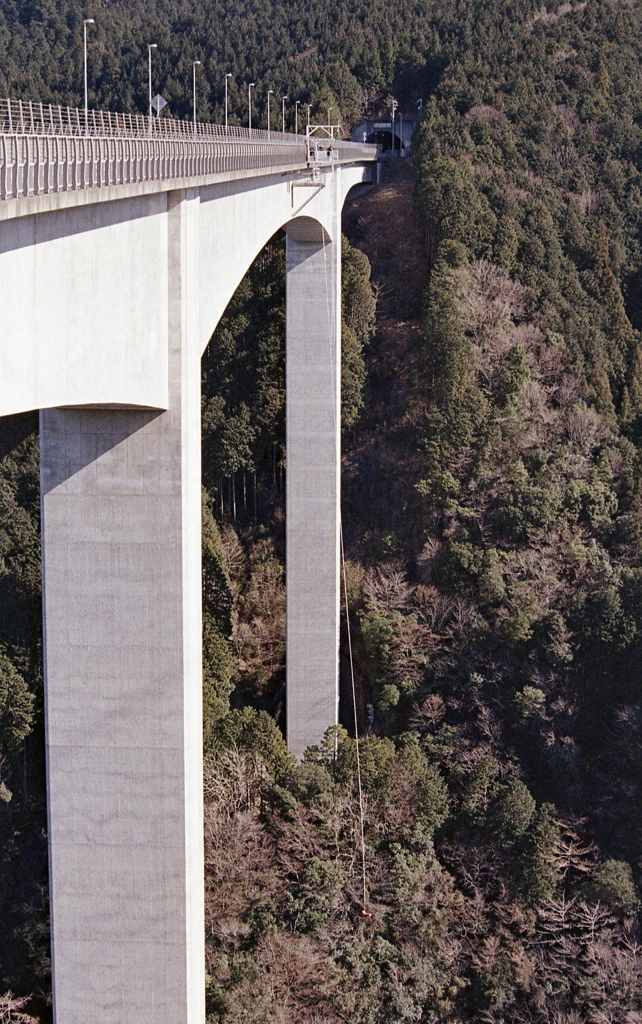 伸びきったバンジー