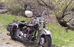 Indian Roadmaster 