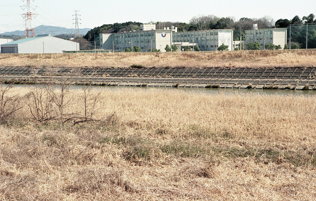 母校が見える。（笑