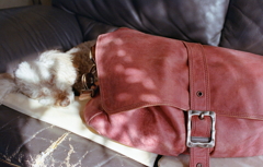 塗り替え補修　～今日の現像より