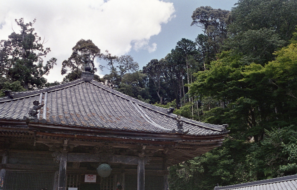 観音堂の瓦