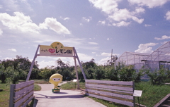 ふるさとナゴヤレモン園