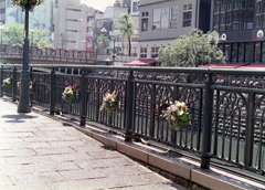 堀川の花飾りⅢ