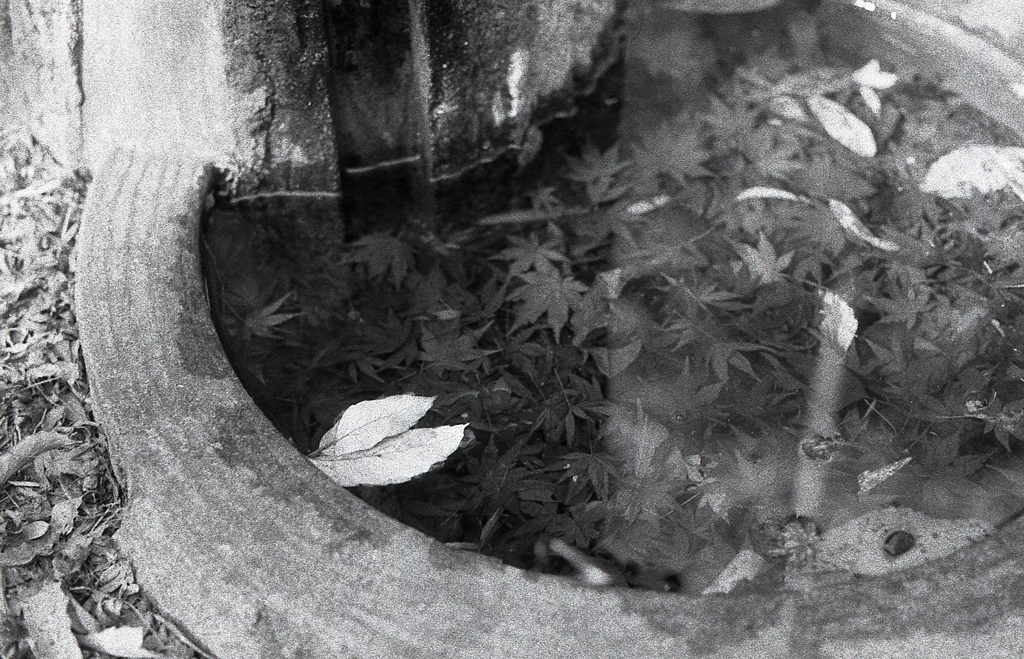 参道途中の水飲み場