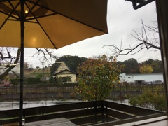 ペーパームーンの窓辺