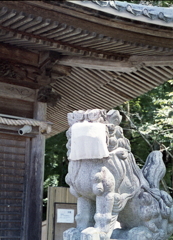 やはりここでも…コロナ対策狛犬です。