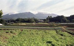 浅間の田園風景