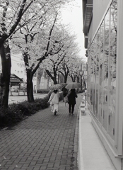 桜と新しい商店街を闊歩する女性たち