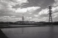 水田と初夏の空