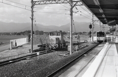 走り去る電車といなべの風景