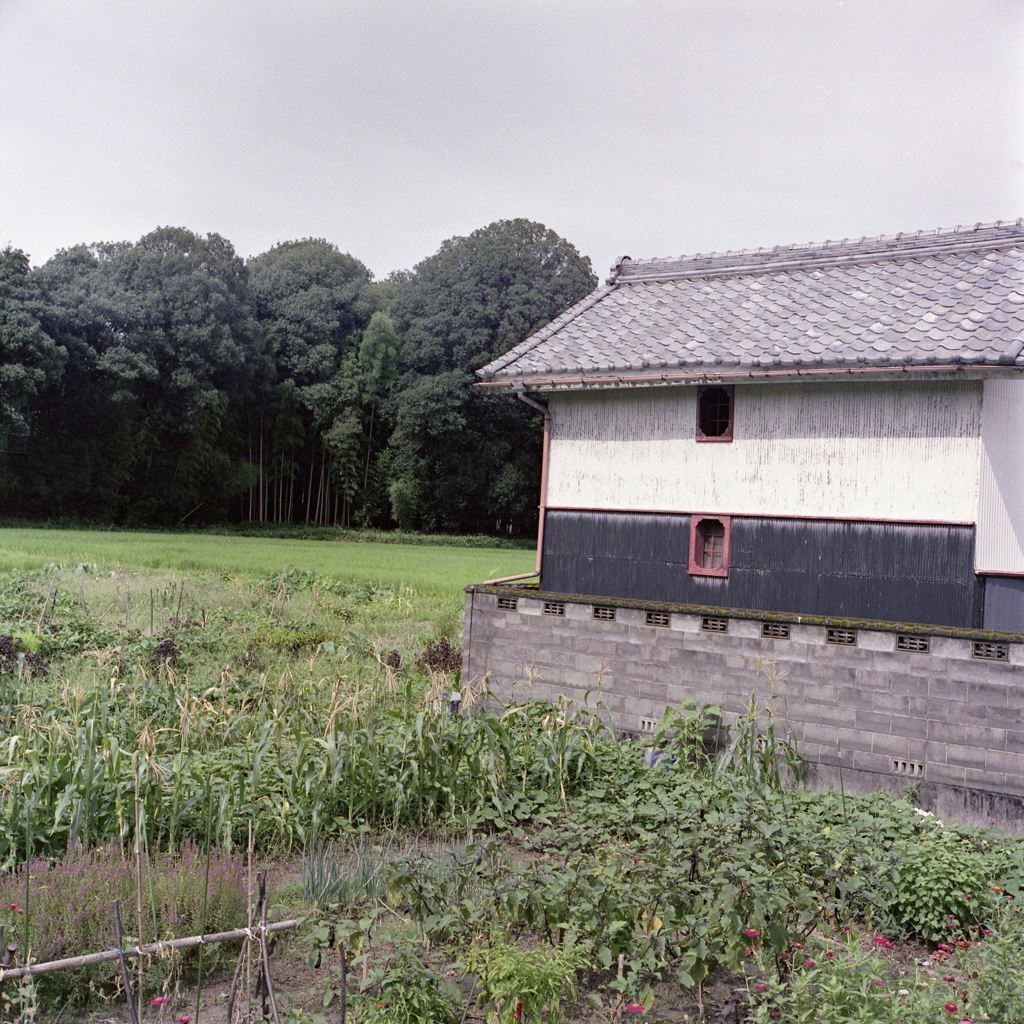 田舎の蔵のある風景
