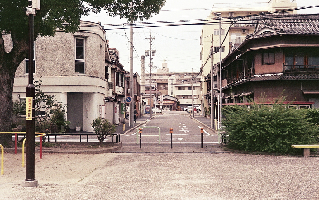 金魚公園から見える旧家と銭湯