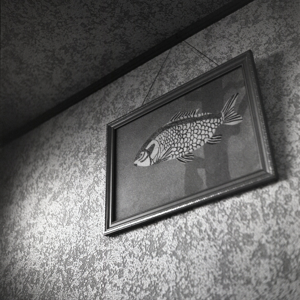 魚の砂絵