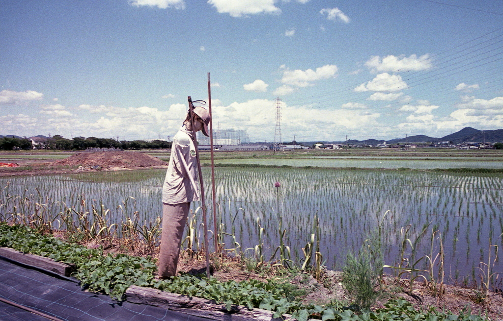 案山子
