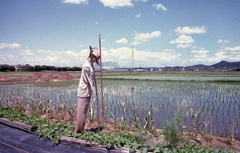 案山子