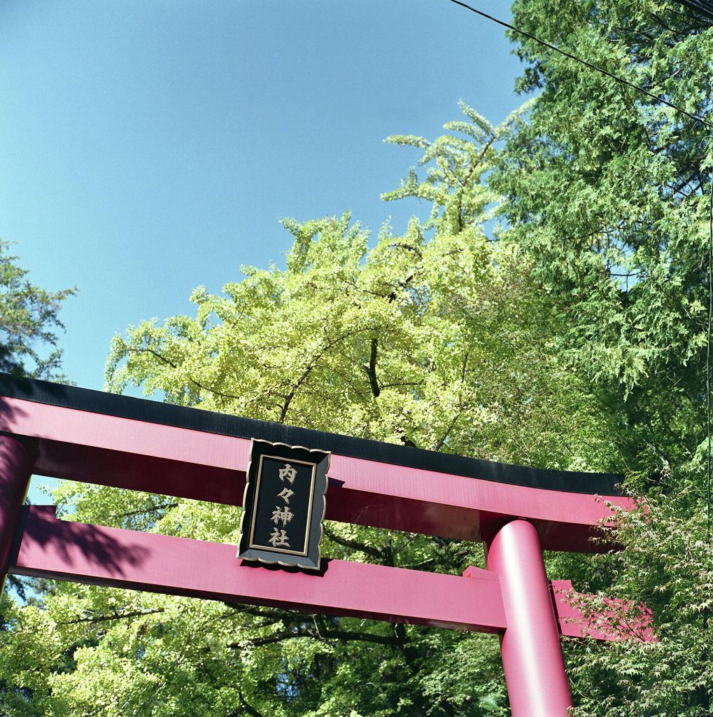 内々神社へ