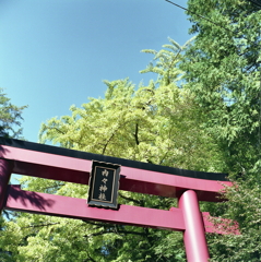 内々神社へ