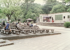 無料野外ライブ