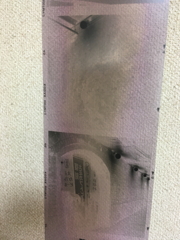 ちょっとフィルムの話でも…