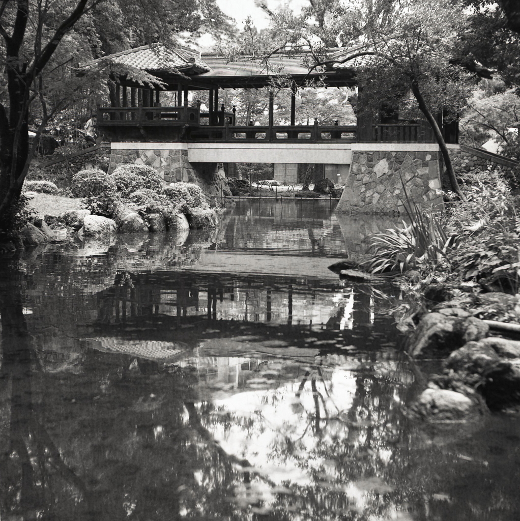 湖水のアングル　～覚王山『揚輝荘・白雲橋』