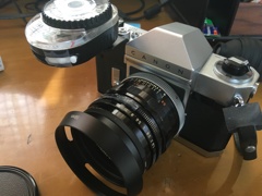 時代遅れの雄姿だけど…これがいい。