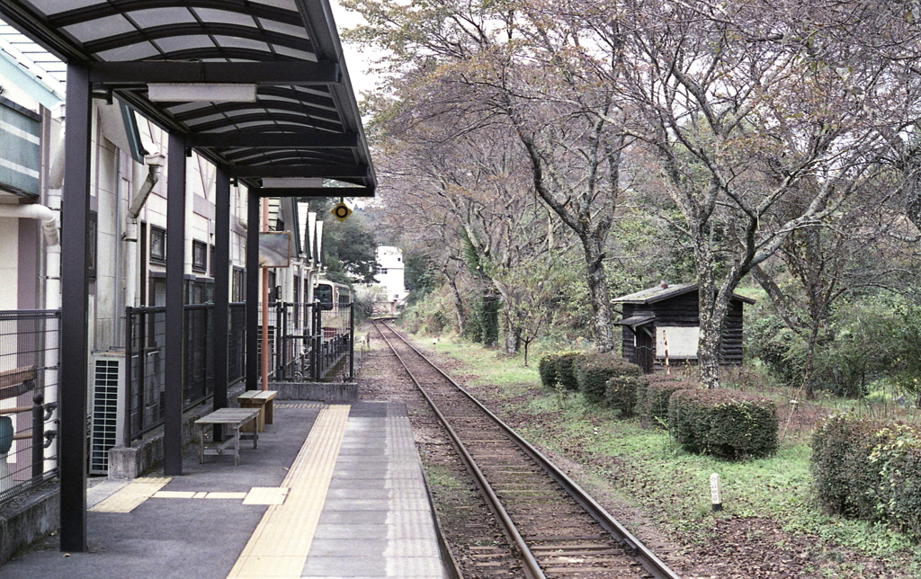 山岡駅ホームに立つ