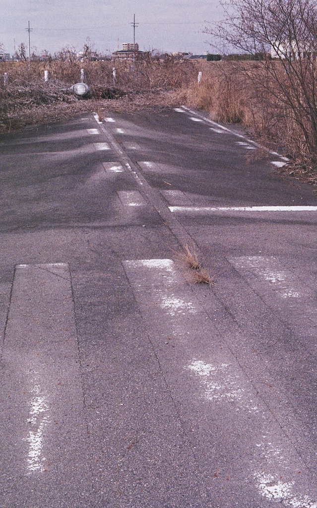 ずっとこのまま