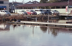 浮き桟橋の白鷺