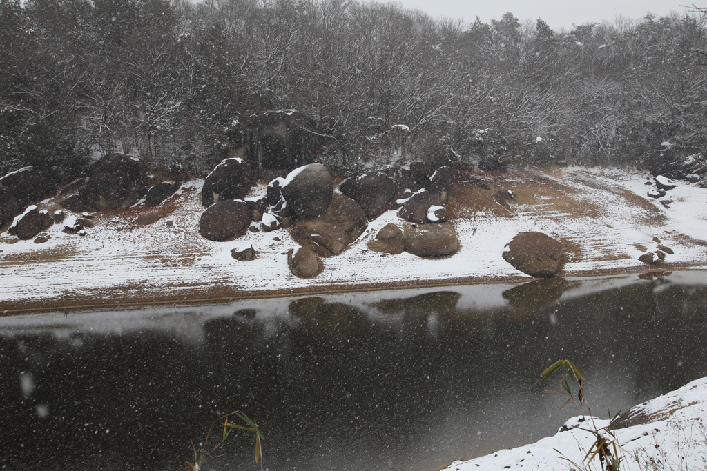 湖岸の岩にも薄っすらと…