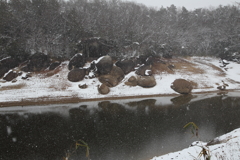 湖岸の岩にも薄っすらと… 湖岸の岩にも薄っすらと…