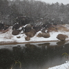 湖岸の岩にも薄っすらと…