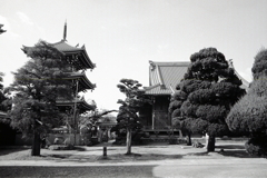 寂しい一周忌 寂しい一周忌