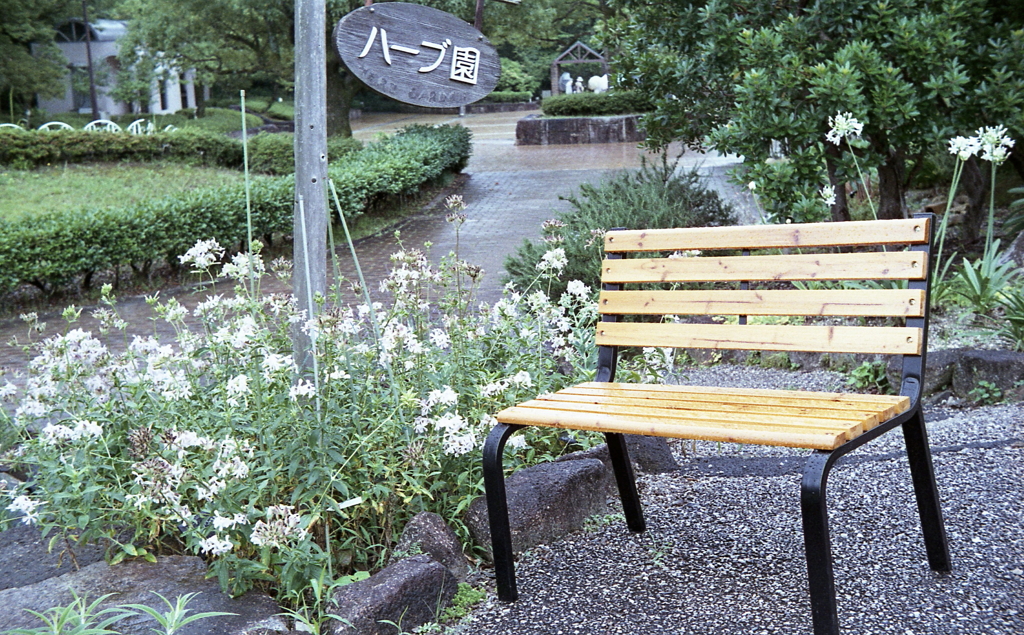 ハーブ園に新しいベンチが…